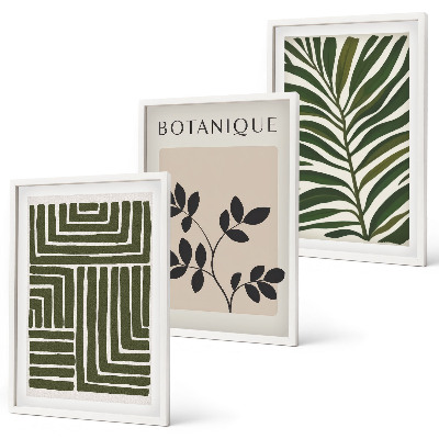 Juego de 3 cuadros Minimalismo bohemio botánico