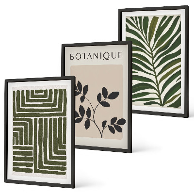 Juego de 3 cuadros Minimalismo bohemio botánico