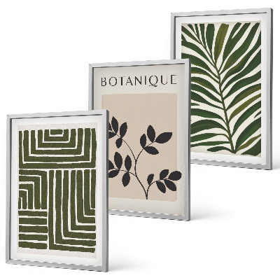 Juego de 3 cuadros Minimalismo bohemio botánico