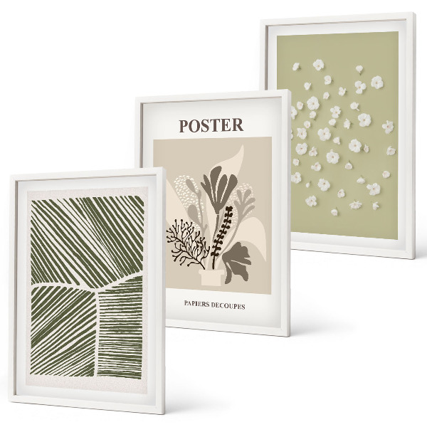 Set de 3 cuadros para salón Motivos vegetales discretos