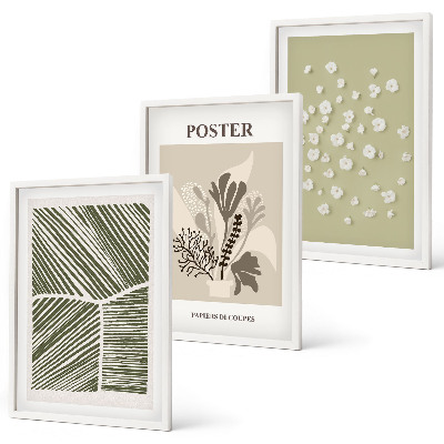Set de 3 cuadros para salón Motivos vegetales discretos