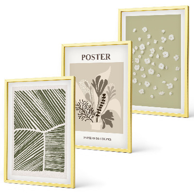 Set de 3 cuadros para salón Motivos vegetales discretos