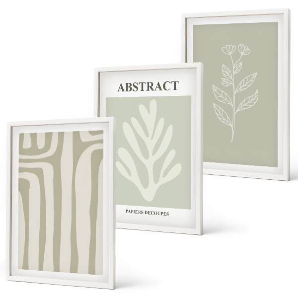Set de 3 cuadros para salón Patrones abstractos de plantas