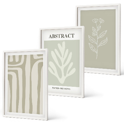 Set de 3 cuadros para salón Patrones abstractos de plantas