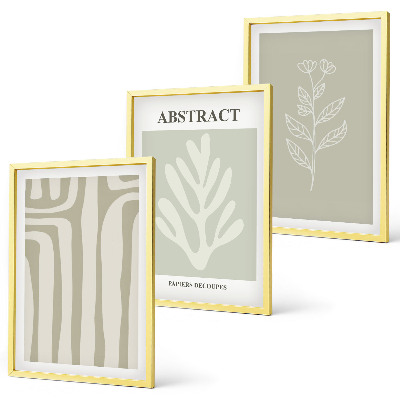 Set de 3 cuadros para salón Patrones abstractos de plantas
