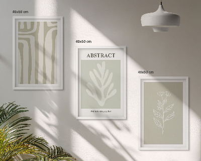 Set de 3 cuadros para salón Patrones abstractos de plantas
