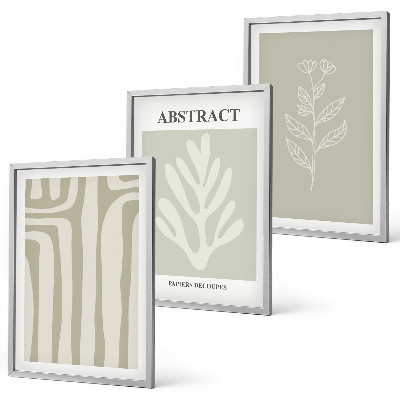 Set de 3 cuadros para salón Patrones abstractos de plantas