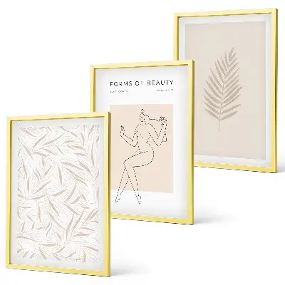 Set de 3 cuadros para salón con motivos botánicos minimalistas
