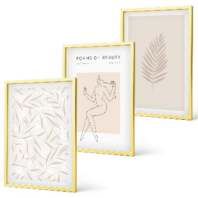 Set de 3 cuadros para salón motivos botánicos minimalistas