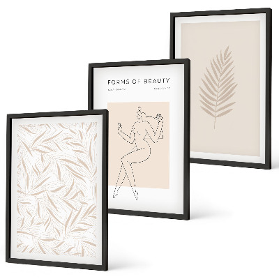 Set de 3 cuadros para salón motivos botánicos minimalistas