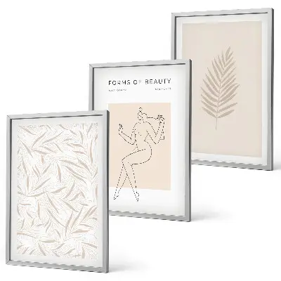 Set de 3 cuadros para salón con motivos botánicos minimalistas