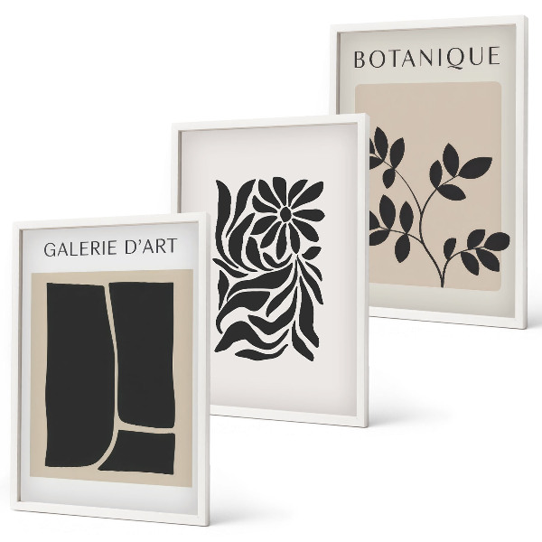 Set de 3 cuadros para salón Patrones abstractos de plantas