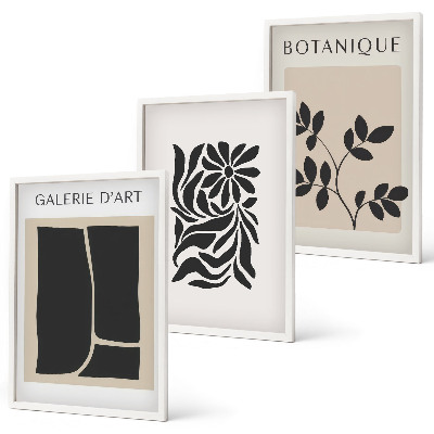 Set de 3 cuadros para salón Patrones abstractos de plantas