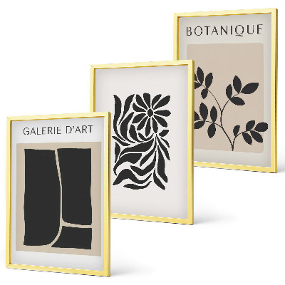 Set de 3 cuadros para salón Patrones abstractos de plantas