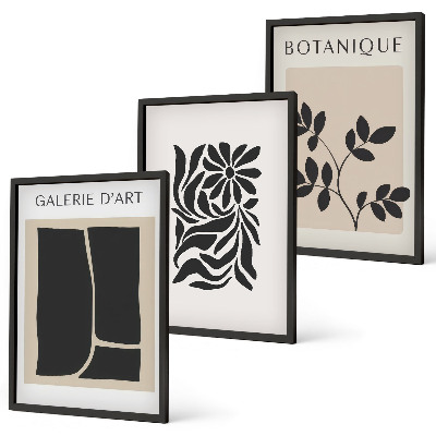 Set de 3 cuadros para salón Patrones abstractos de plantas