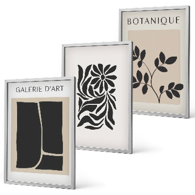 Set de 3 cuadros para salón Patrones abstractos de plantas