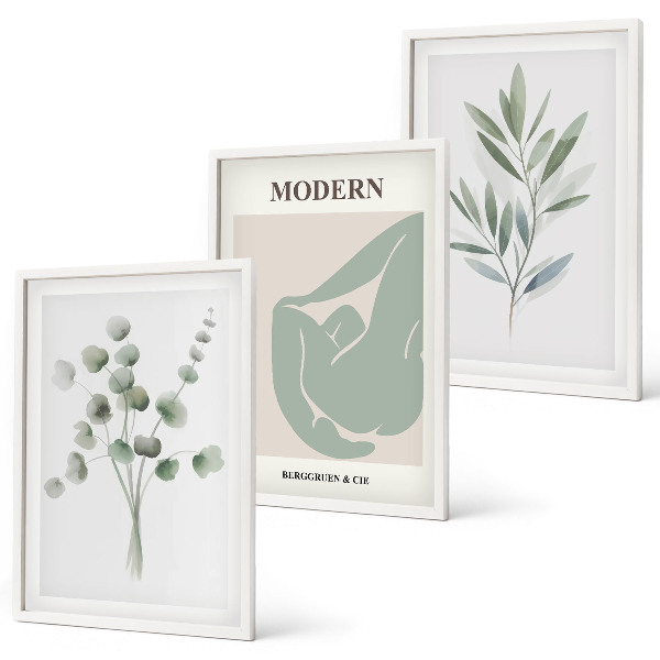 Juego de 3 cuadros Motivos vegetales en verde