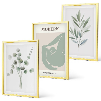 Juego de 3 cuadros Motivos vegetales en verde