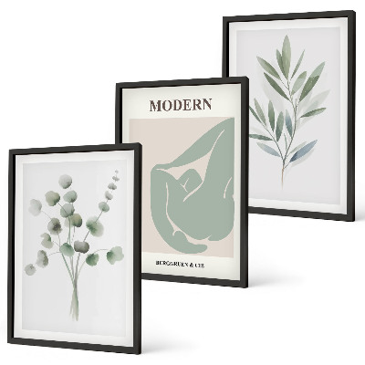 Juego de 3 cuadros Motivos vegetales en verde