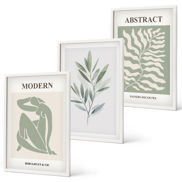 Set de 3 cuadros para salón Diseño bohemio en acuarela de Matisse