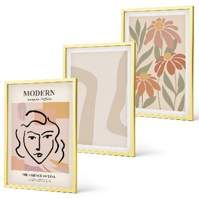 Juego de 3 cuadros Mujer abstracta moderna