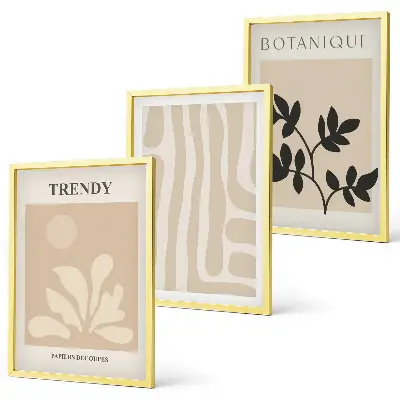 Set de 3 cuadros para salón con elegantes estampados de plantas en color beige y negro