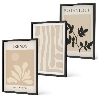Set de 3 cuadros para salón Elegantes estampados de plantas en beige y negro.