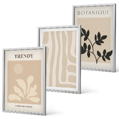 Set de 3 cuadros para salón Elegantes estampados de plantas en beige y negro.