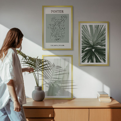 Set de 3 cuadros para salón Patrones de plantas en verde