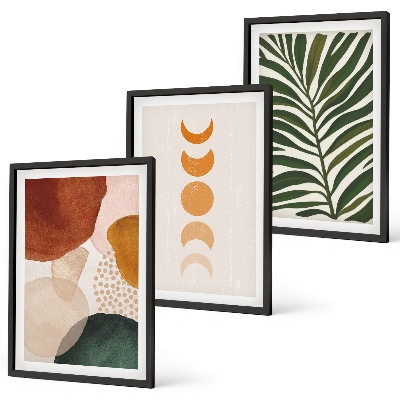 Set de 3 cuadros para salón Formas abstractas de hojas