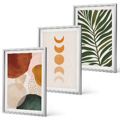 Set de 3 cuadros para salón Formas abstractas de hojas