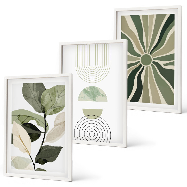Juego de 3 cuadros Motivos vegetales, geometría, vegetación