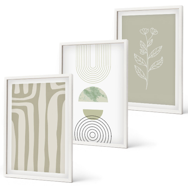 Set de 3 cuadros para salón patrones geométricos de plantas