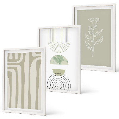 Set de 3 cuadros para salón patrones geométricos de plantas