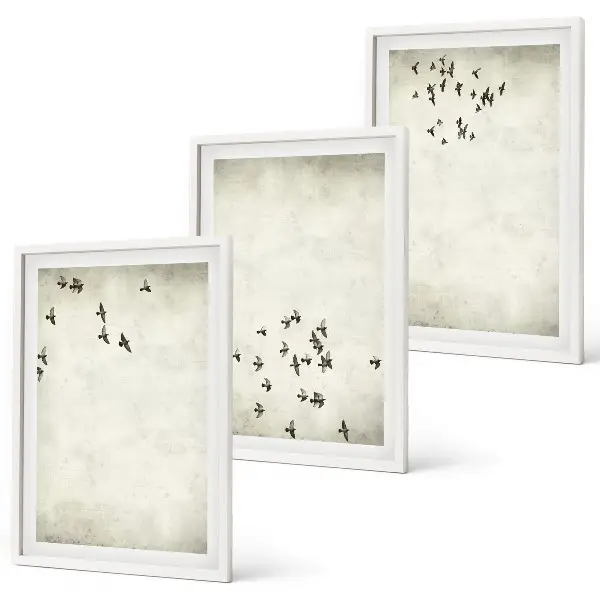 Set de 3 cuadros de pintura minimalista de pájaros decoración para salón