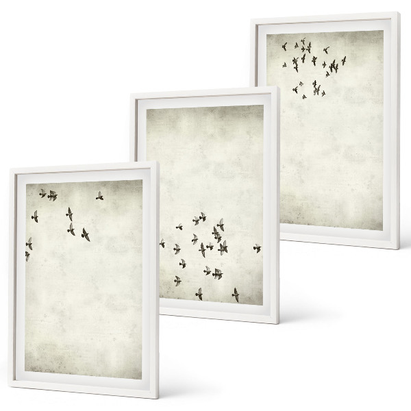 Set de 3 cuadros para salón Pintura minimalista de pájaros