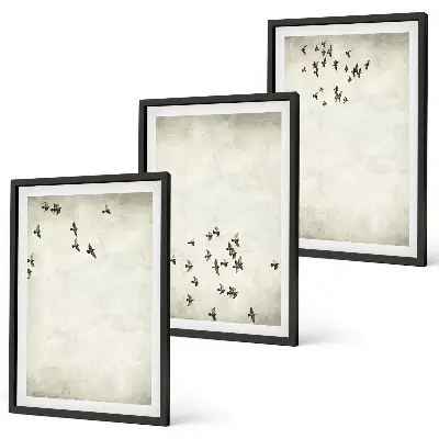 Set de 3 cuadros de pintura minimalista de pájaros decoración para salón