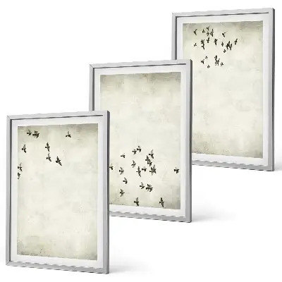 Set de 3 cuadros de pintura minimalista de pájaros decoración para salón