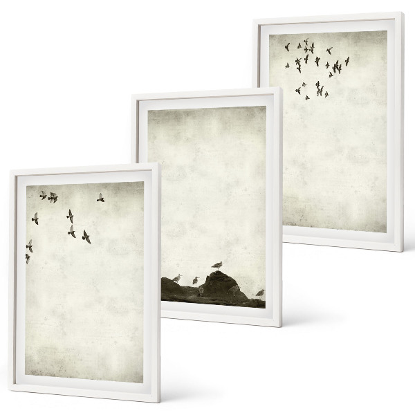 Juego de 3 cuadros Pájaros voladores Minimalismo