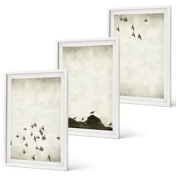 Set de 3 cuadros para salón Pájaros en vuelo al estilo minimalista