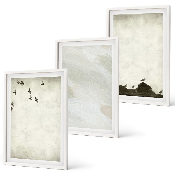 Set de 3 cuadros para salón Pájaros, rocas, pinceladas, decoraciones