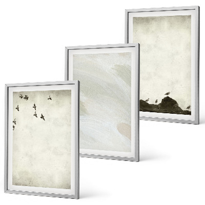 Set de 3 cuadros para salón Pájaros, rocas, pinceladas, decoraciones