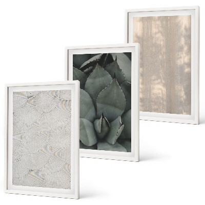 Set de 3 cuadros para salón Texturas tropicales de verano