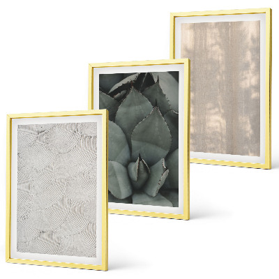 Set de 3 cuadros para salón Texturas tropicales de verano