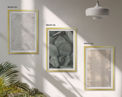 Set de 3 cuadros para salón Texturas tropicales de verano