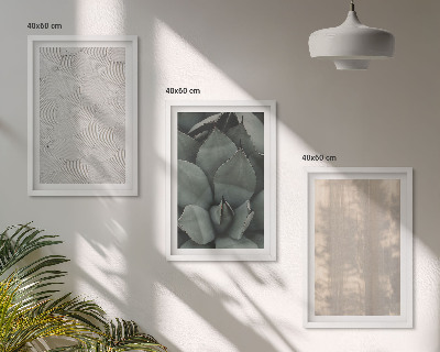 Set de 3 cuadros para salón Texturas tropicales de verano