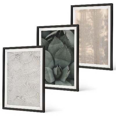 Set de 3 cuadros para salón Texturas tropicales de verano