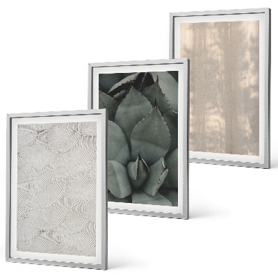 Set de 3 cuadros para salón Texturas tropicales de verano