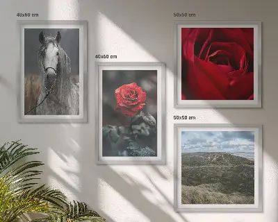 Set de 4 cuadros para salón con diseño de rosas rojas y caballo sobre fondo gris