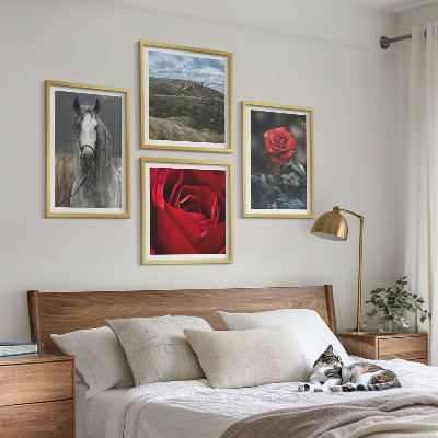 Set de 4 cuadros para salón Rosas rojas, caballo, fondo gris